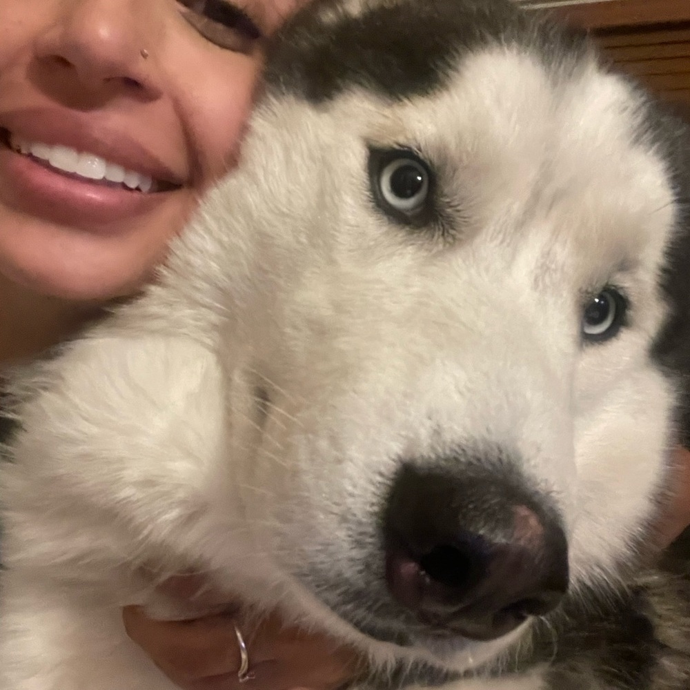 Meet Zeus♥️